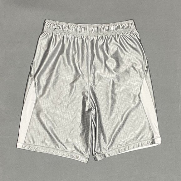 NWT Nike Boys Dri-Fit Graphic Shorts - Large - Light Smoke Grey/White - Picture 2 of 5